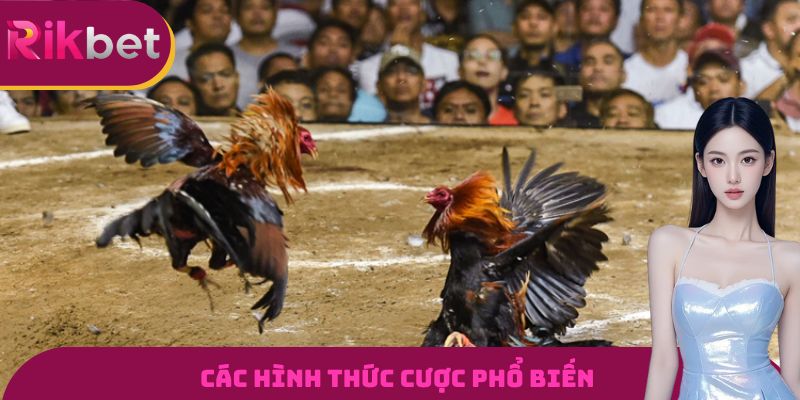 Đá Gà RIKBET - Đấu Trường Gà Đỉnh Cao Và Uy Tín Nhất 2026 1 Các hình thức cược phổ biến