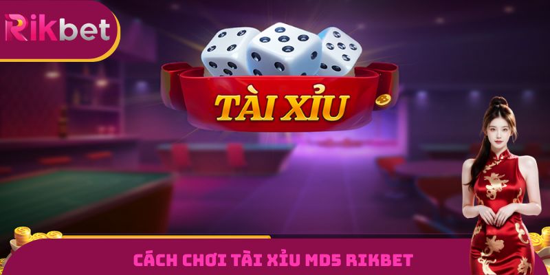 Cách chơi tài xỉu MD5 RIKBET