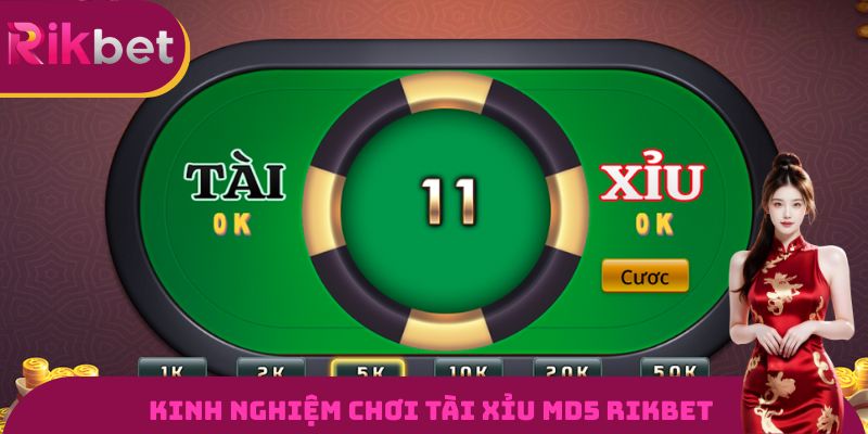 Kinh nghiệm chơi tài xỉu MD5 RIKBET