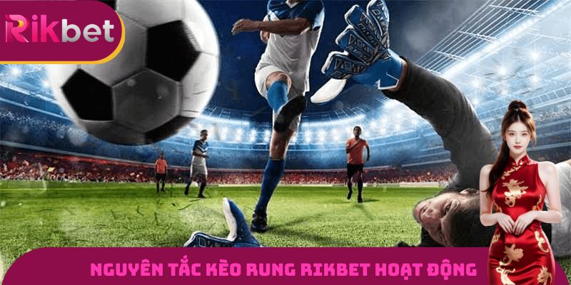 Nguyên tắc kèo rung Rikbet hoạt động