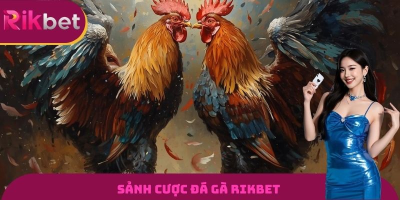 Sảnh cược Đá gà RIKBET