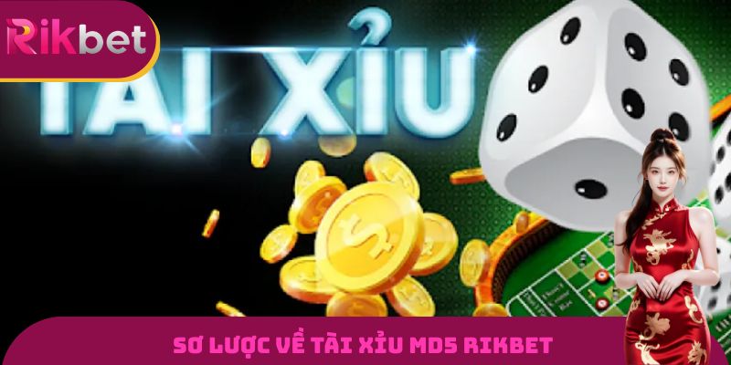 Sơ lược về tài xỉu MD5 RIKBET